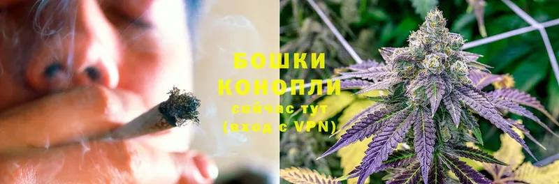 Бошки Шишки OG Kush  Сысерть 